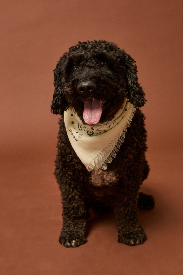 BANDANA PAISLEY SOFT