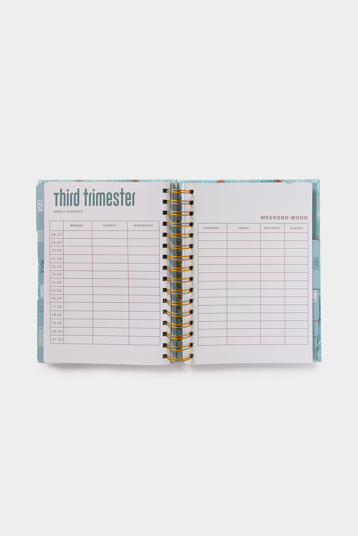 SCHOOL DIARY 26/27 DIAMONDS
